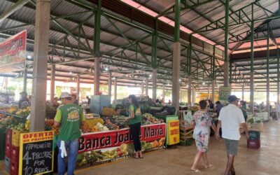 Feirantes são transferidos para novo espaço para início da obra de cobertura da Feira Livre “Prefeito João Totó Câmara”