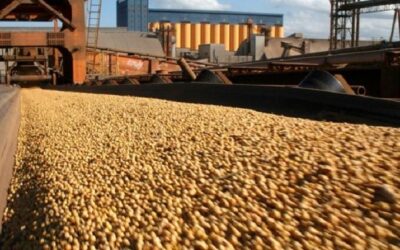Exportações de MS chegam a 3,1 bilhões de dólares no acumulado do 1º quadrimestre de 2024