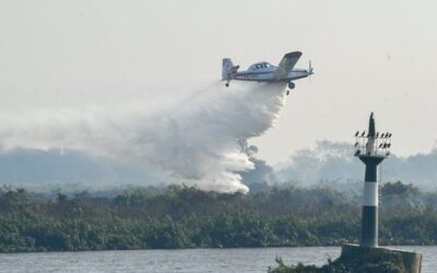 Decreto de emergência em MS garante celeridade na resposta aos incêndios florestais no Estado