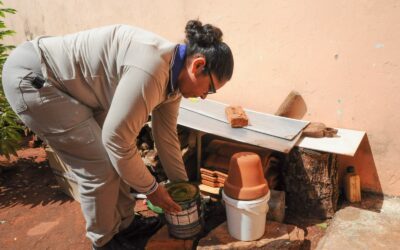 Ações estratégicas e trabalho permanente consolidam Campo Grande como referência no combate à dengue