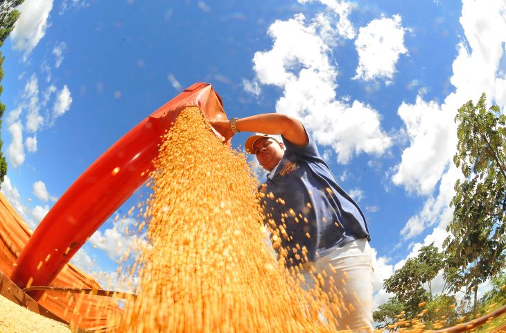 Balança comercial de Mato Grosso do Sul tem superávit com saldo de US$ 2,9 bilhões no ano