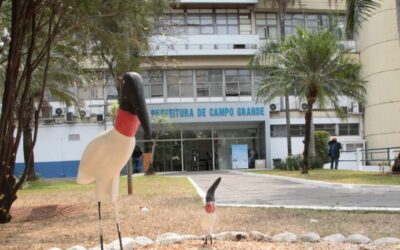 Prefeitura de Campo Grande convoca professores para o Programa MS Alfabetiza