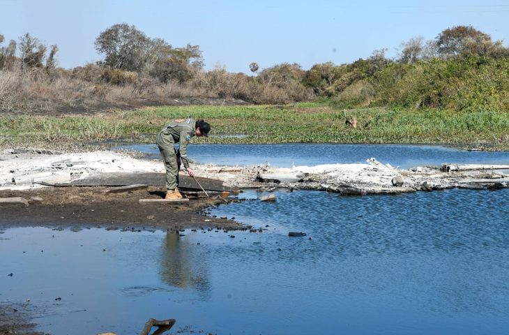 Gretap: equipe do Governo de MS no Pantanal monitora áreas queimadas em busca de animais feridos