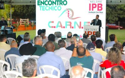 Pecuária sul-mato-grossense busca na genética formas de aumentar a produtividade e qualidade da carne