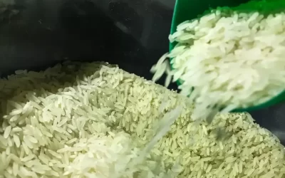 Governo realizará novo leilão e MS deve receber mais de 3 mil toneladas de arroz importado