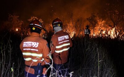 PF vai investigar incêndios criminosos no Pantanal de Mato Grosso do Sul