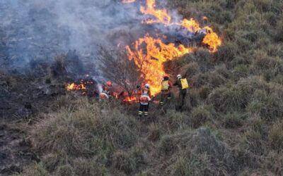 Polícia Federal divulga imagens e monitoramento para combate aos incêndios no Pantanal