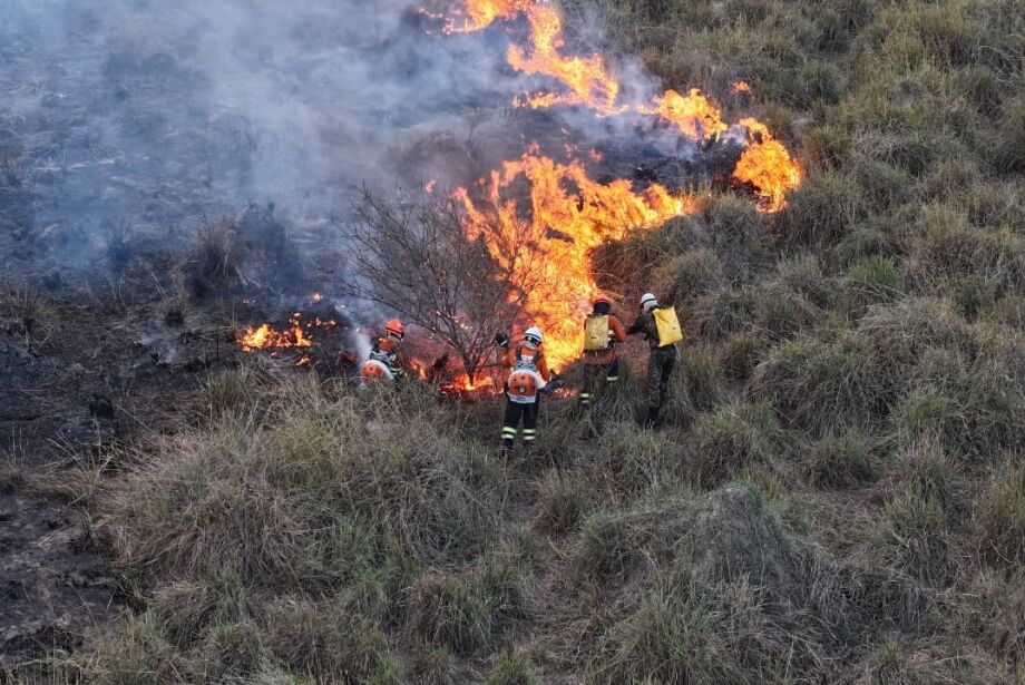 Polícia Federal divulga imagens e monitoramento para combate aos incêndios no Pantanal
