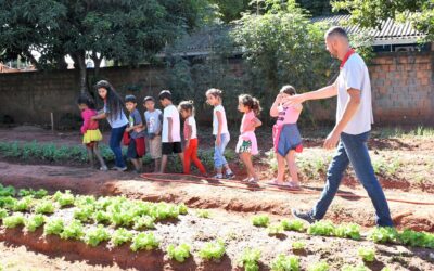 Número de hortas sociais assistidas pela Prefeitura cresceu 80% em um ano