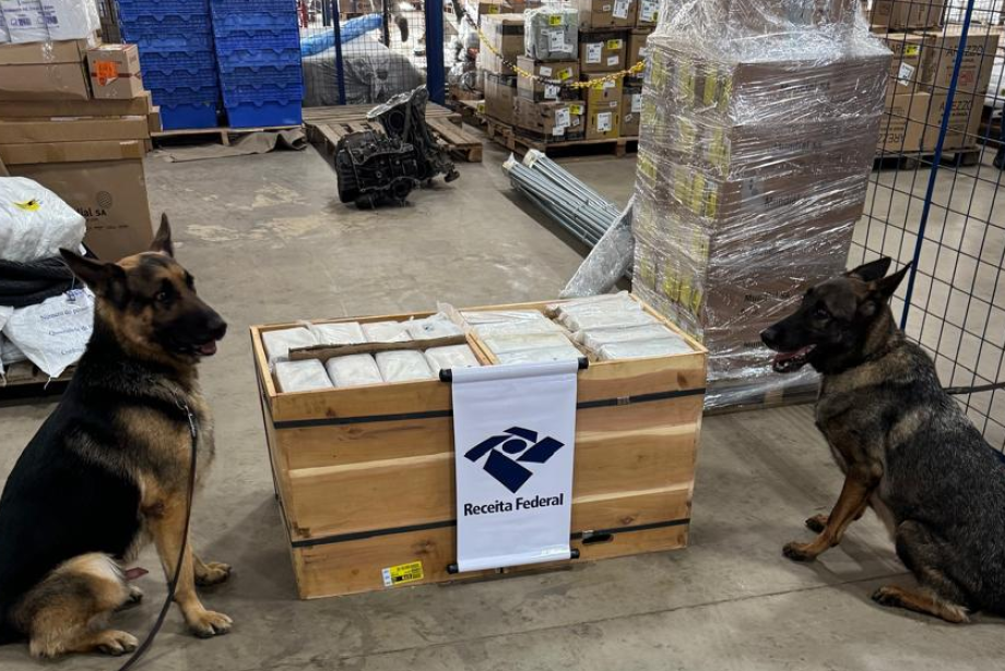 Cães farejadores encontram cocaína avaliada em R$ 2 milhões em transportadora