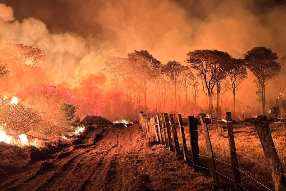 Com Pantanal envolvido, Governo instala sala de crise para queimadas e seca no país