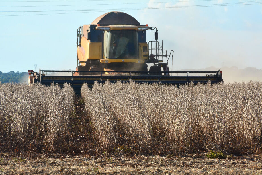 Mato Grosso do Sul tem potencial para dobrar a área plantada de soja em 5 anos