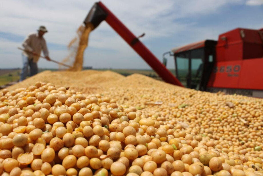 Agronegócio bate recorde de US$ 82 bilhões com exportação de produtos brasileiros