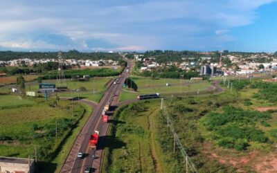 Fase de estudos para concessão da ‘rota da celulose’ em Mato Grosso do Sul é concluída