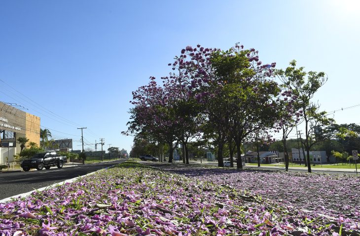 Aproximação de frente fria ameniza temperaturas em Mato Grosso do Sul neste sábado