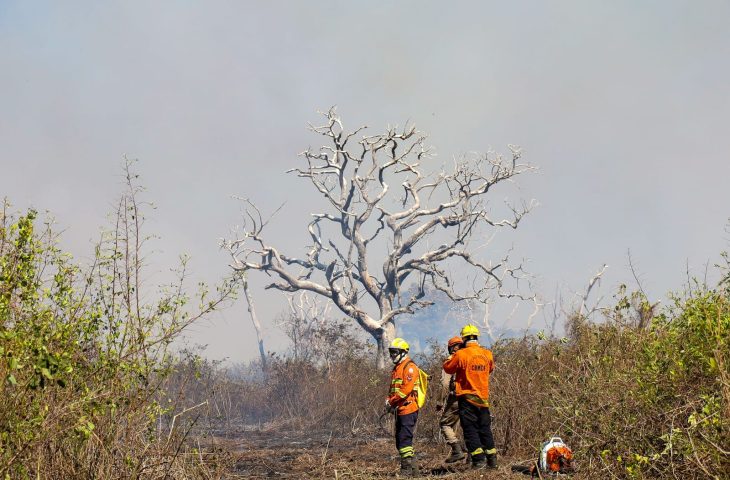 Focos ativos na região de Maracangalha, no Pantanal de MS, mobilizam bombeiros e brigadistas