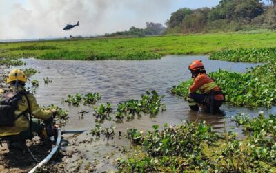 Serra do Amolar, Porto da Manga e Rabicho concentram esforços dos Bombeiros no Pantanal