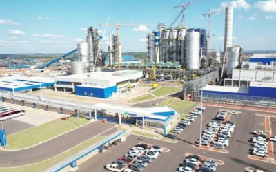 Celulose impulsiona economia de Mato Grosso do Sul