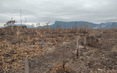 PF e Civil investigam mais de 18 denúncias sobre início dos incêndios no Pantanal