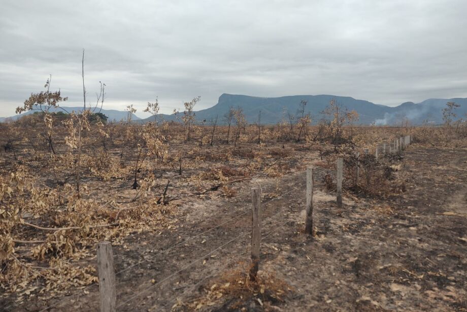 PF e Civil investigam mais de 18 denúncias sobre início dos incêndios no Pantanal