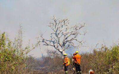 União destina R$ 13,4 milhões para combate a incêndios em Mato Grosso do Sul