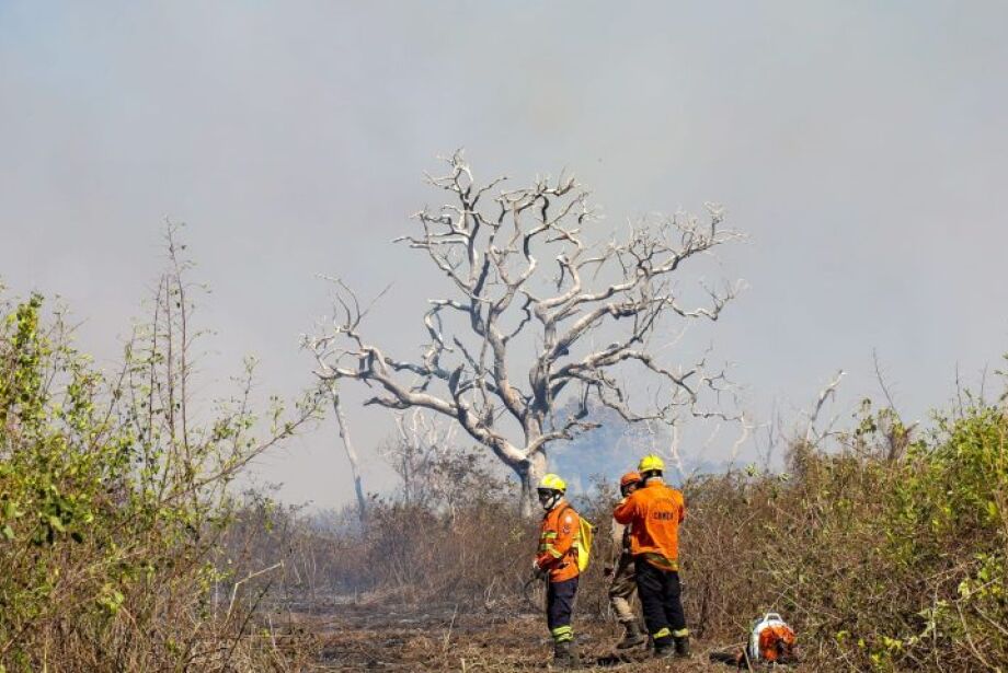 União destina R$ 13,4 milhões para combate a incêndios em Mato Grosso do Sul