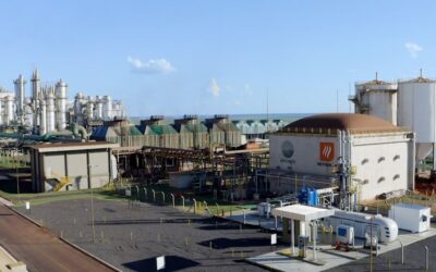 MS exportará tecnologia que pode revolucionar a produção de bioenergia