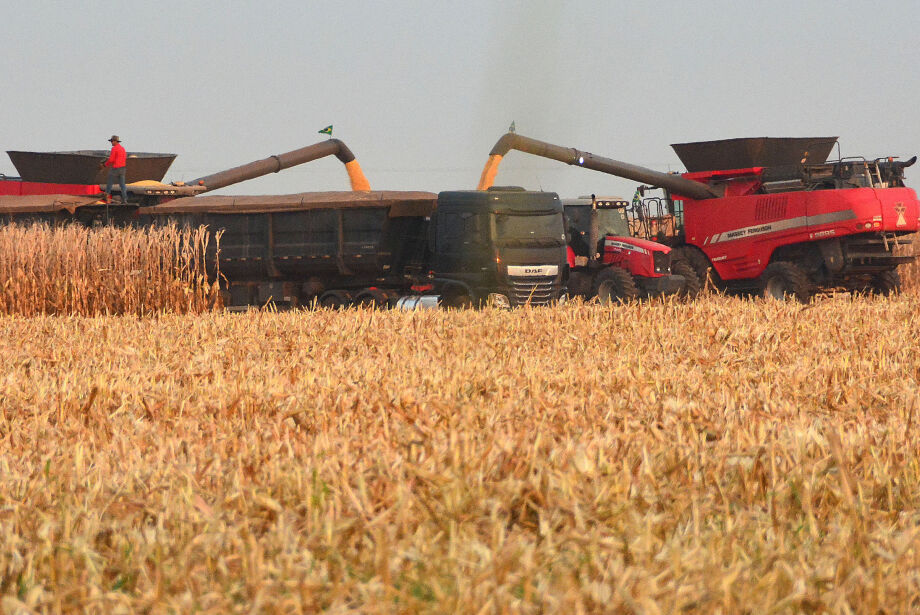 Falta de mão de obra qualificada preocupa setor agropecuário de MS