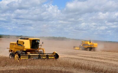 Valor Bruto da Produção agropecuária em Mato Grosso do Sul soma quase R$ 60 bilhões no ano