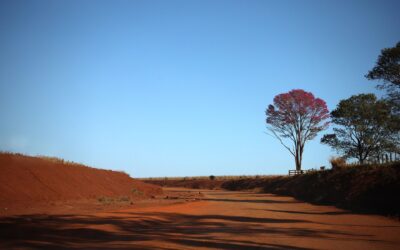 Com sol e nebulosidade, sexta-feira registra baixa umidade relativa do ar em Mato Grosso do Sul