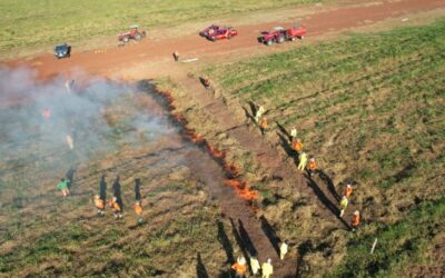 MS se destaca como pioneiro na implementação do Manejo Integrado do Fogo como prevenção a incêndios