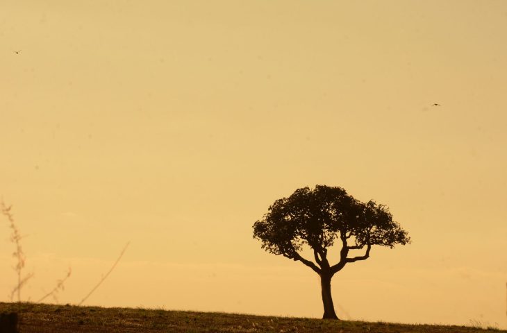 Previsão climática: chuvas abaixo da média e altas temperaturas permanecem nos próximos meses