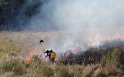 Bombeiros de Santa Catarina também auxiliarão equipes de MS no combate ao fogo no Pantanal