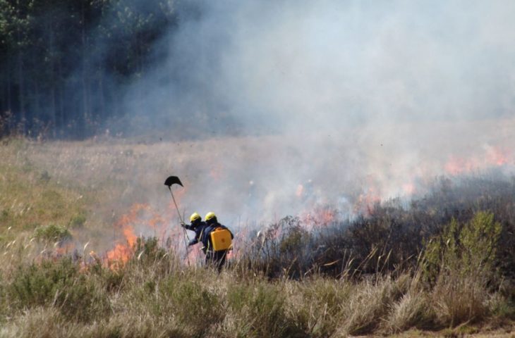 Bombeiros de Santa Catarina também auxiliarão equipes de MS no combate ao fogo no Pantanal