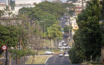 Diretrizes sobre o meio ambiente precisam ser colocadas em prática