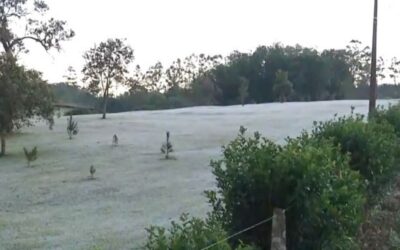 Com mínima de 0,1 grau, geada atinge MS com força em pleno agosto