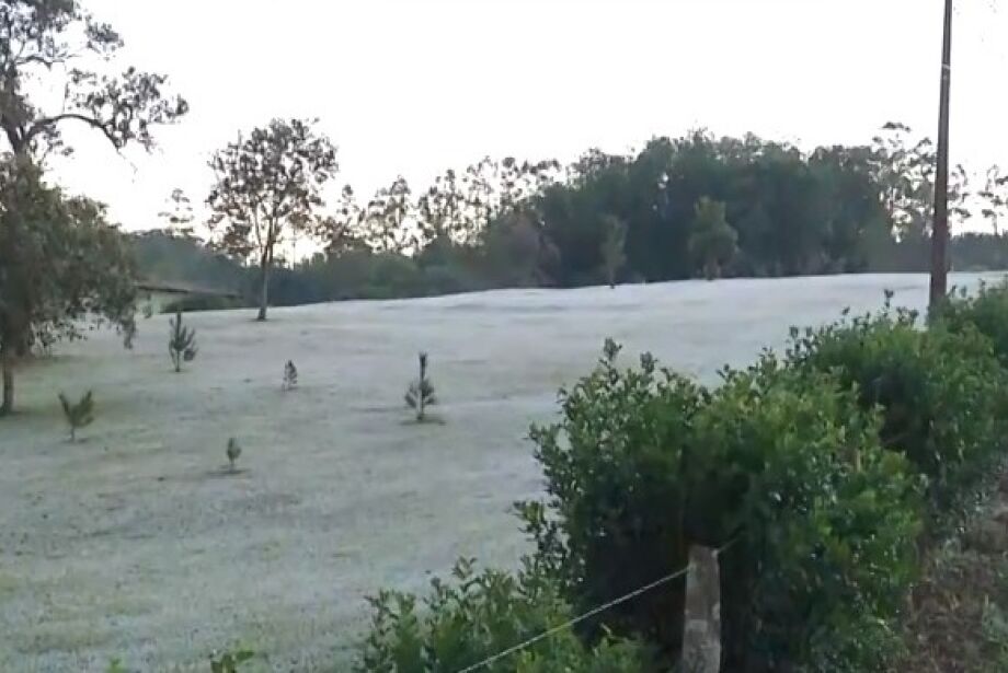 Com mínima de 0,1 grau, geada atinge MS com força em pleno agosto