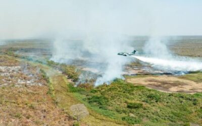 Polícia Federal investiga mais de 20 incêndios no Pantanal, diz Marina Silva