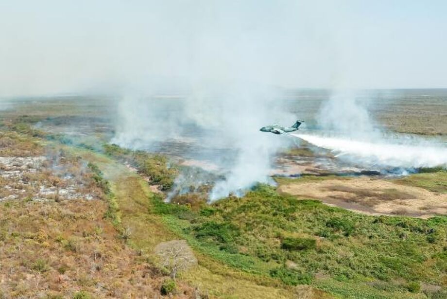 Polícia Federal investiga mais de 20 incêndios no Pantanal, diz Marina Silva