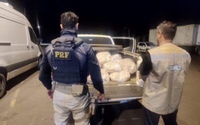 Iagro e PRF realizam Operação Agro-Seguro que combate crimes ambientais em MS