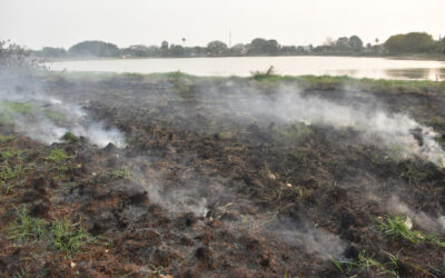 Encoberto por fumaça, Campo Grande registra quase 1 mil casos de incêndios em vegetação