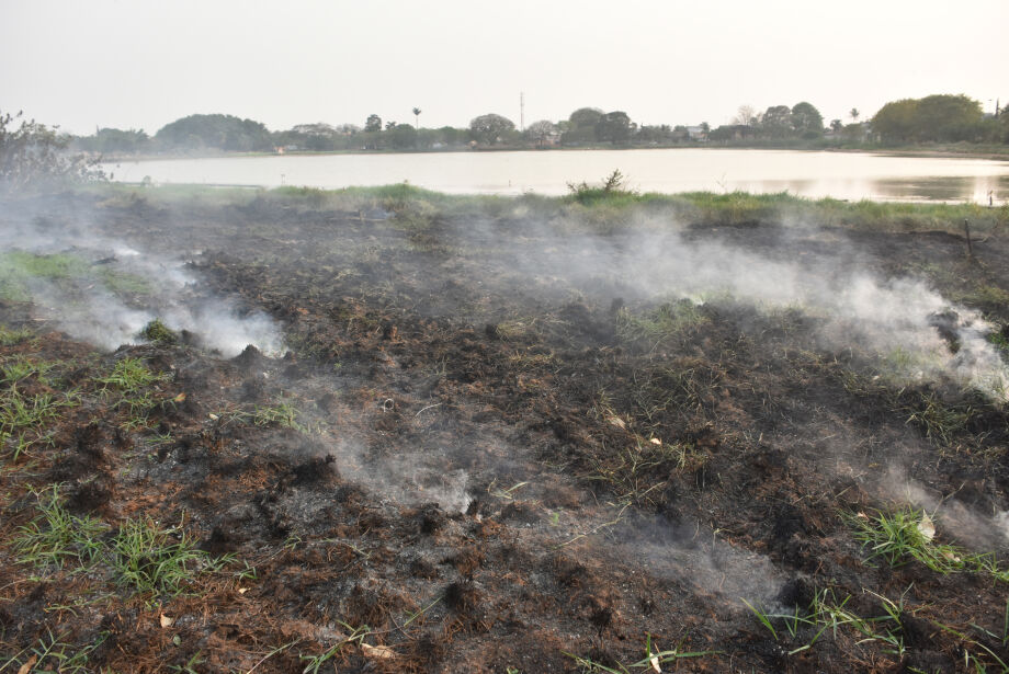 Encoberto por fumaça, Campo Grande registra quase 1 mil casos de incêndios em vegetação