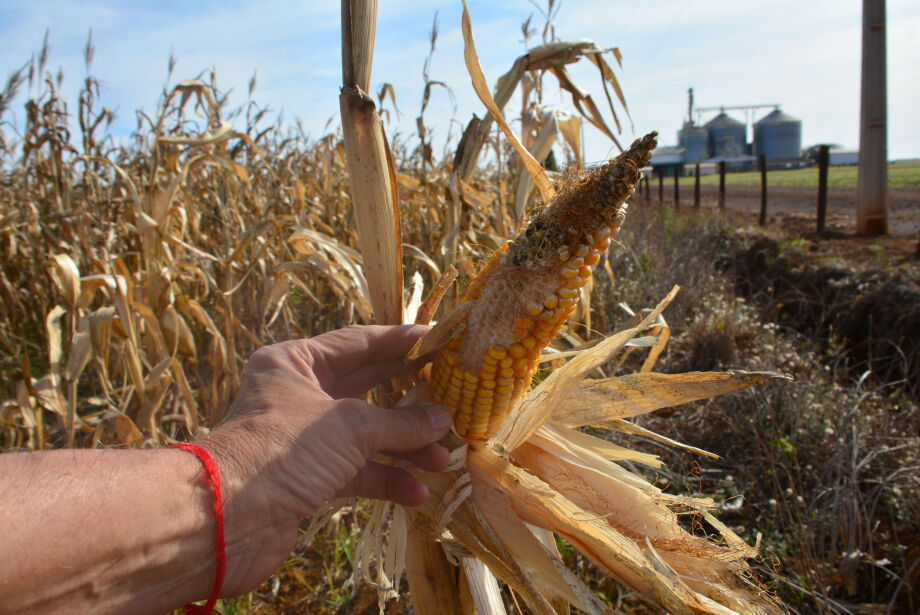 Reforma tributária deve prejudicar arrendamentos do agro no Estado