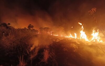 Em 8 meses, Mato Grosso do Sul tem a maior concentração de focos de calor em 26 anos