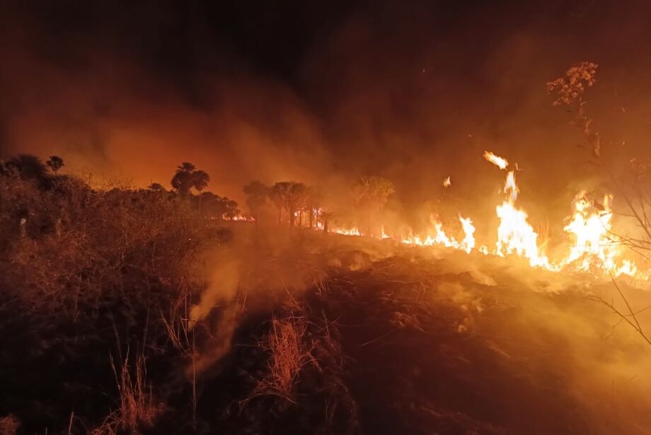 Em 8 meses, Mato Grosso do Sul tem a maior concentração de focos de calor em 26 anos