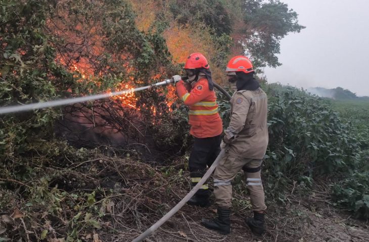 Incêndios florestais se intensificam em biomas de MS, e na fronteira com a Bolívia combate continua