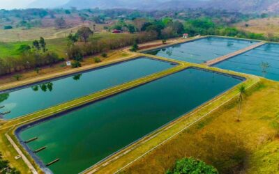 Sanesul preserva recursos naturais tratando 130 milhões de litros de esgoto por dia em MS