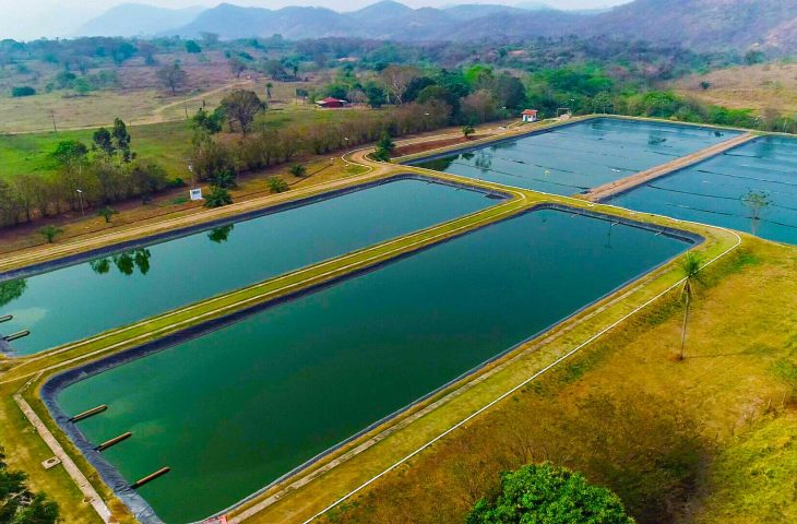 Sanesul preserva recursos naturais tratando 130 milhões de litros de esgoto por dia em MS