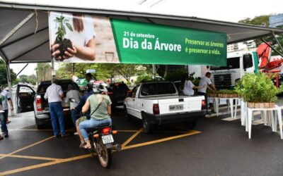 No dia da árvore prefeitura de Campo Grande distribuiu 15 mil mudas frutíferas