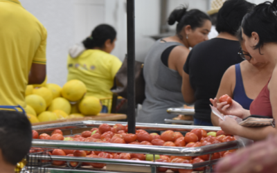 Inflação de alimentos deve voltar ao positivo, com estiagem e queimadas